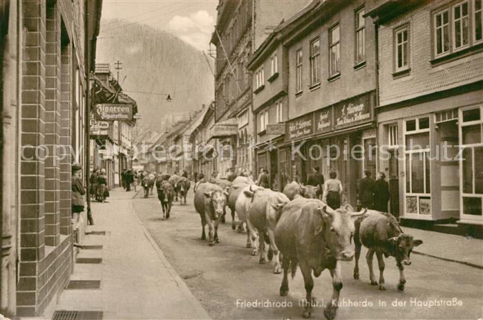 Friedrichroda Kuhherde Hauptstrasse