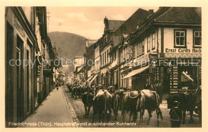 Friedrichroda Hauptstrasse Kuhaustrieb