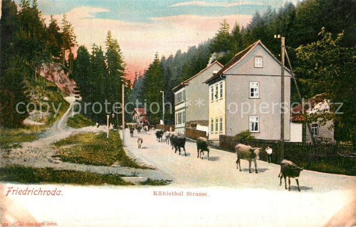 Friedrichroda Kuehlethal Strasse Kuhherde