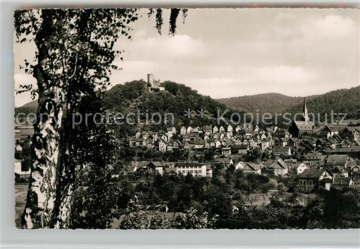 Gladenbach Lahn Hessen Panorama Burg