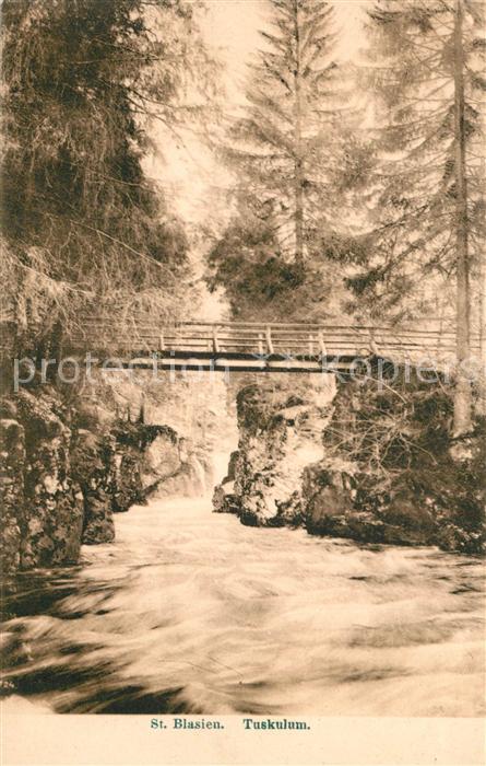 St Blasien Tuskulum