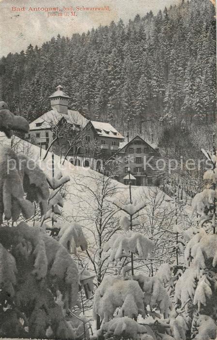 Bad Antogast Winterlandschaft