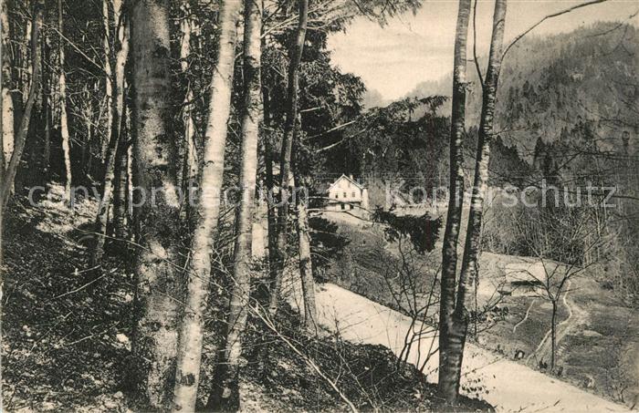 Allerheiligen Oppenau Wasserfallhotel