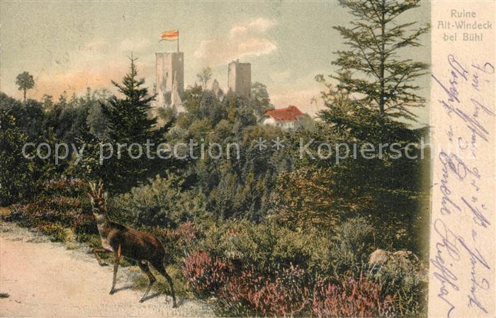 Alt-Windeck Ruine Panorama