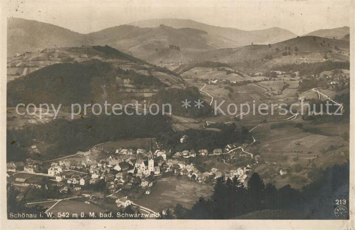 Schoenau Schwarzwald Panorama
