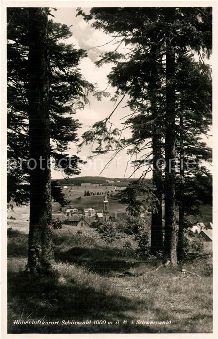 Schoenwald Schwarzwald Panorama