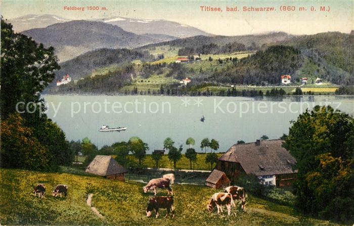 TITISEE Schwarzwald BW Feldberg Panorama