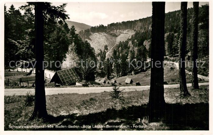 Forbach Baden Schwarzwaldhoehenstrasse Rote Lache