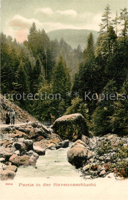 Ravennaschlucht Panorama Wanderer