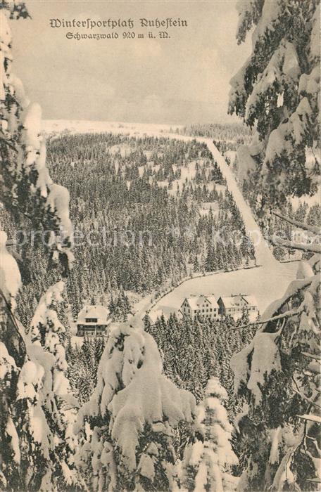 Ruhestein Baiersbronn BW Fliegeraufnahme Winterlandschaft