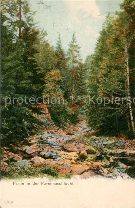 Ravennaschlucht Panorama