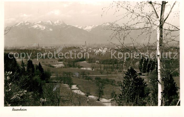 Rosenheim Bayern Panorama