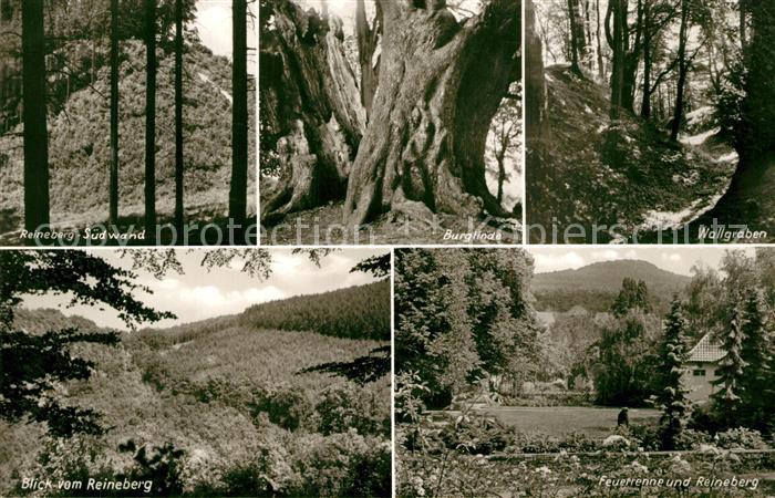 Luebbecke Westfalen Reineberg Suedwand Burglinde Wallgraben Feuerrenne und Reine