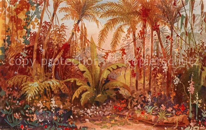 BERLIN  CITY Gartenbau Ausstellung 1922 Der Tropische Urwald im Diorama