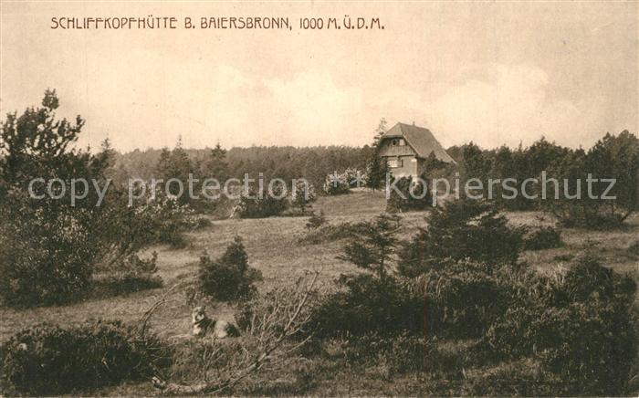 Baiersbronn Schwarzwald Schliffkopfhuette