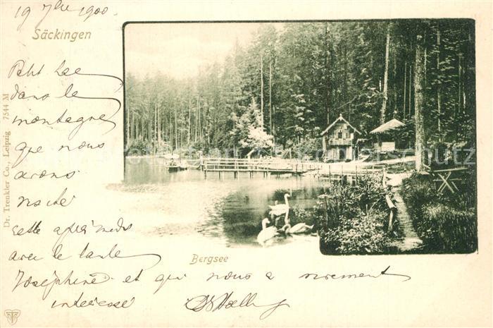 Saeckingen Rhein Bergsee