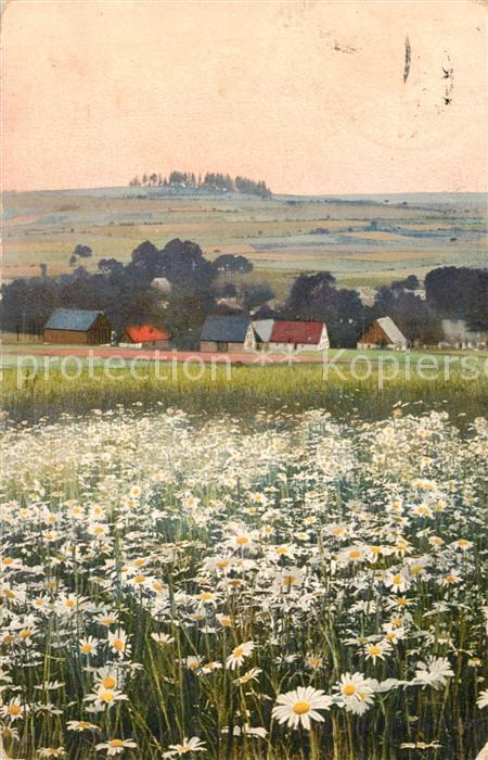 Mildenau Panorama Blumenwiese Feldpost