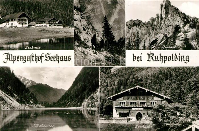 Ruhpolding Bayern Alpengasthof Seehaus Forchensee Gemsen Hoerndlwand Chiemgauer