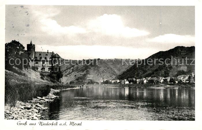 Niederfell Uferpartie an der Mosel