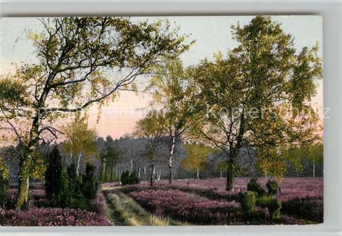 Haverbeck Bispingen Morgenstimmung Lueneburger Heide