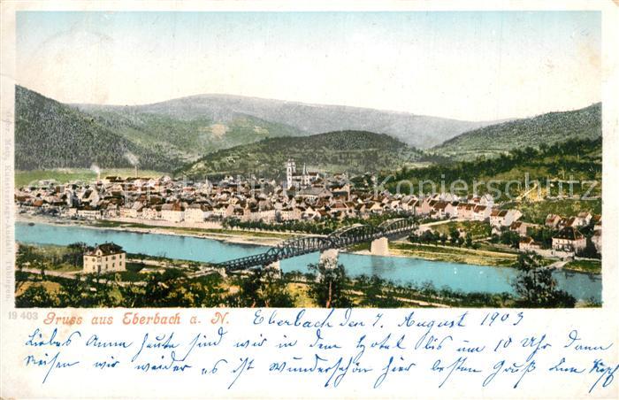 Eberbach Neckar Panorama