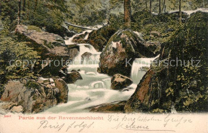 Ravennaschlucht Panorama