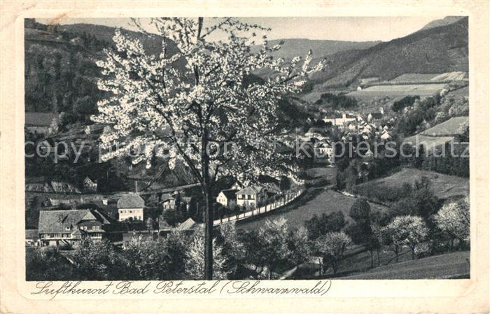 Bad Peterstal-Griesbach Panorama