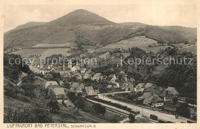 Bad Peterstal-Griesbach Panorama