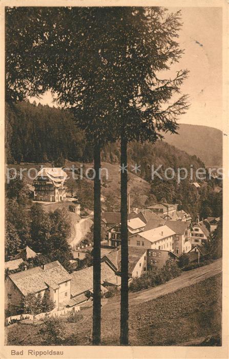 Bad Rippoldsau Schwarzwald Panorama
