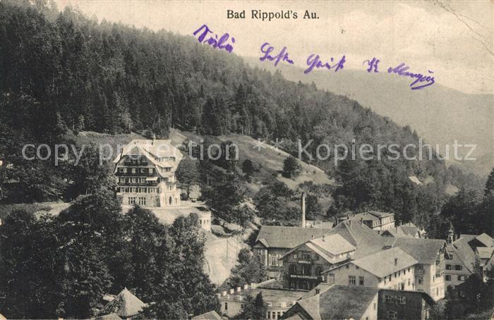 Bad Rippoldsau Schwarzwald Panorama