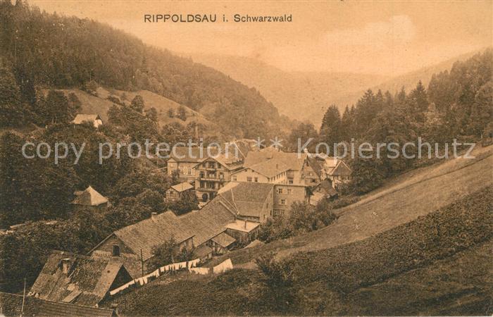 Rippoldsau Schwarzwald Bad Panorama