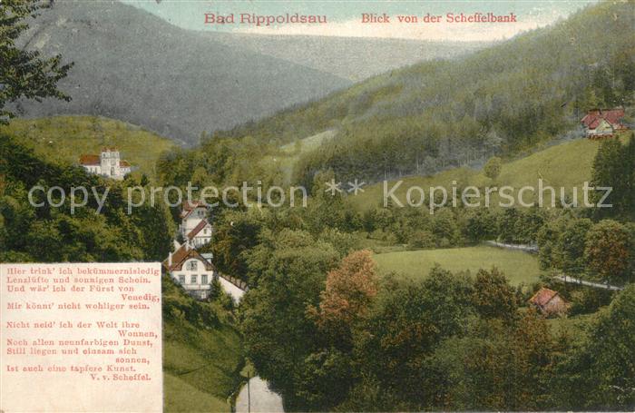 Bad Rippoldsau Schwarzwald Blick von der Scheffelbank Panorama Gedicht