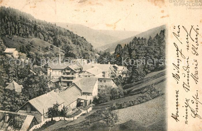 Bad Rippoldsau Schwarzwald Panorama