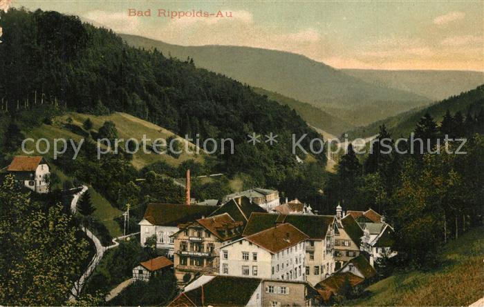Bad Rippoldsau Schwarzwald Panorama