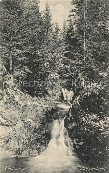 Todtmoos Schwarzwald BW Wolfsschlucht