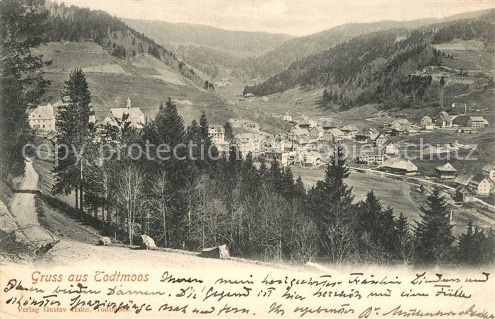 Todtmoos Schwarzwald BW Panorama