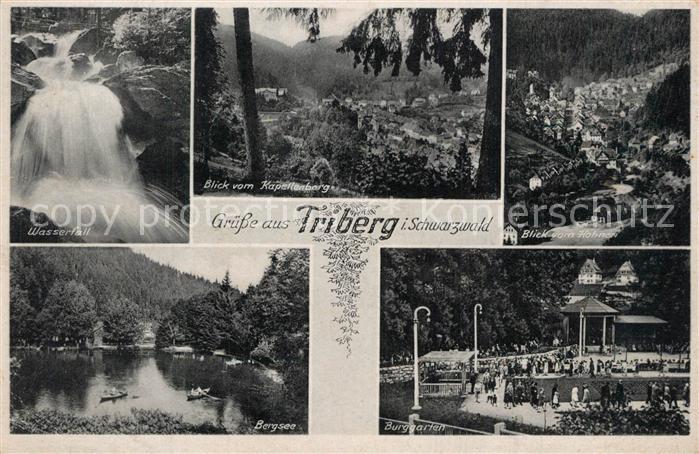 Triberg Schwarzwald Wasserfall Kapellenberg Blick vom Hohnen Burggarten Bergsee