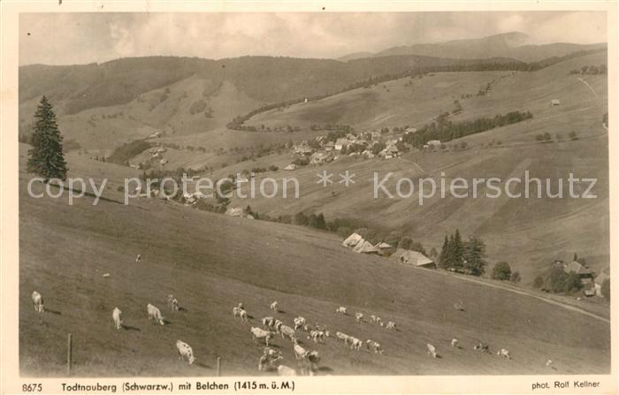 Todtnauberg Schwarzwald BW mit Belchen K?he