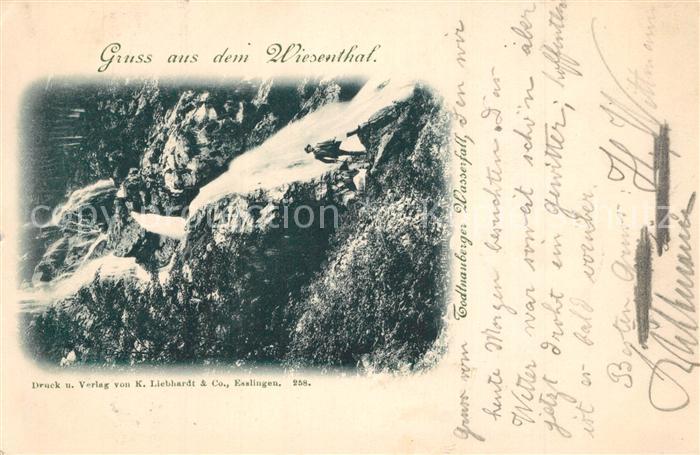 Todtnauberg Schwarzwald BW Wasserfall