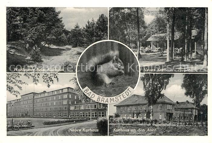 Bad Bramstedt Wald Kurhaus Eichh?rnchen