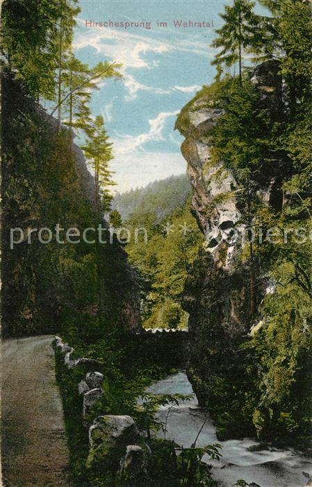 Todtmoos Schwarzwald BW Hierschesprung im Wehratal