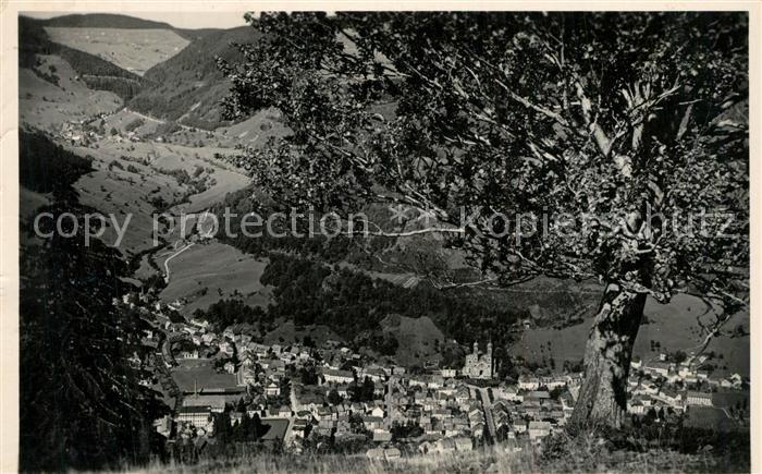 Todtnau Schwarzwald BW