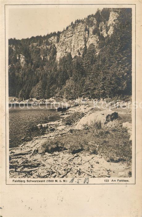Feldberg Schwarzwald Am Feldsee