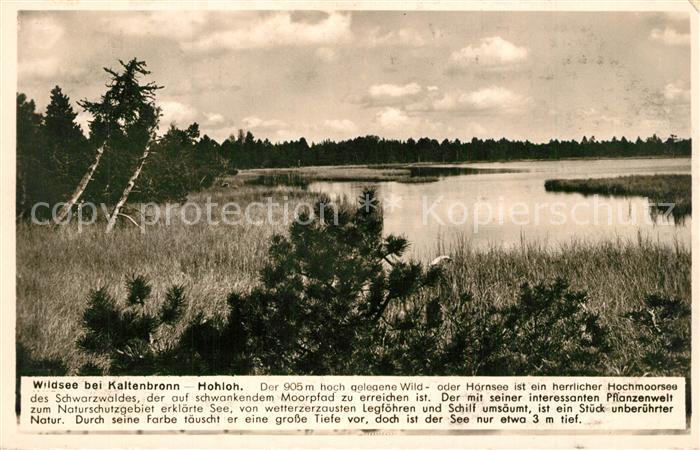 Kaltenbronn Gernsbach Wildsee