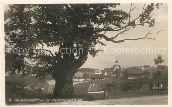Zinnwald Grenzbuche