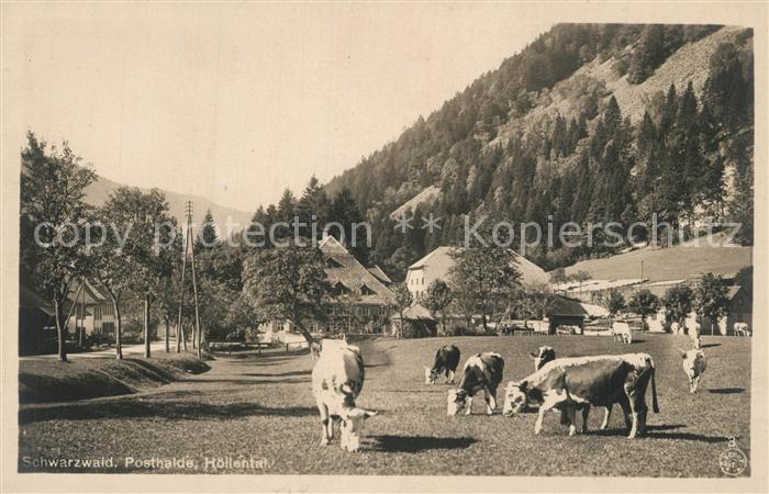 Posthalde Breitnau Kuhweide Panorama