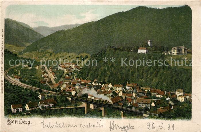 Hornberg Schwarzwald Panorama