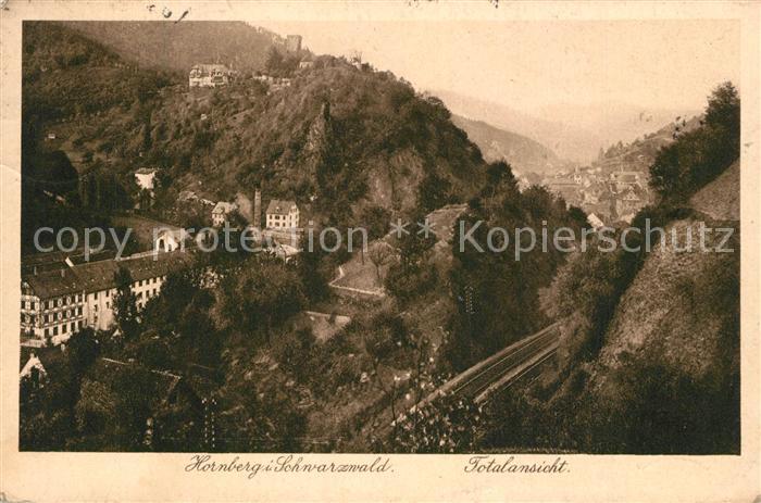Hornberg Schwarzwald Panorama