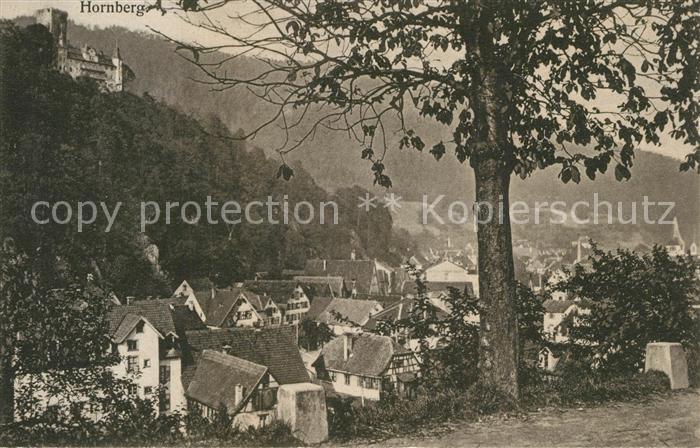 Hornberg Schwarzwald Panorama