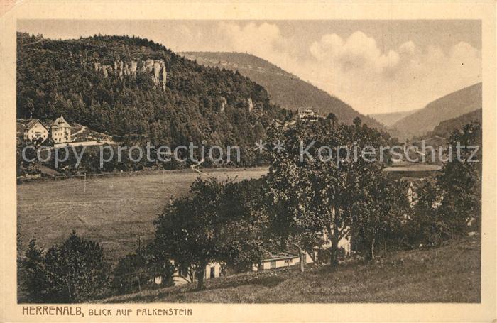 Herrenalb Bad Herrenalb Panorama Falkenstein